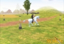 Mabinogi-Double-Mount.jpg