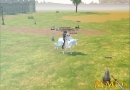 Mabinogi-Riding-Together.jpg