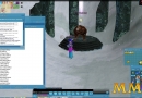 mabinogi-snow-bear.jpg