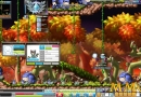 MapleStory-139-lvl.jpg