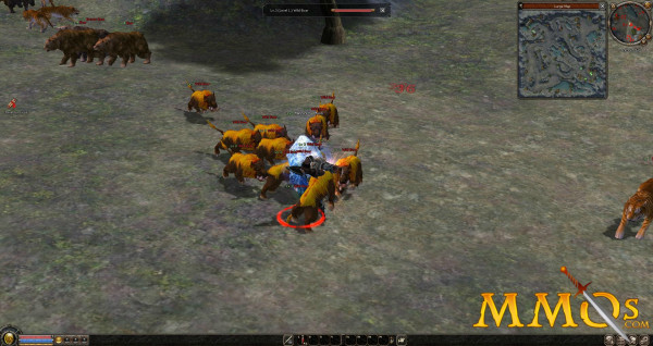 Metin 2 hog assault