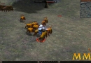 Metin-2-hog-assault