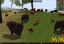 Metin-2-too-many-animals