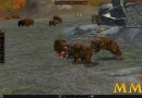 Metin-2-bear