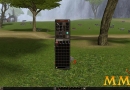 Metin-2-inventory