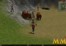 Metin-2-large-map