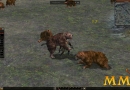 Metin-2-level-4