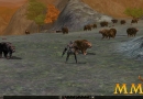 Metin-2-nature