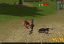 Metin-2-swing