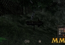 Mortal-Online-graveyard