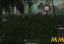 Mortal-Online-pig