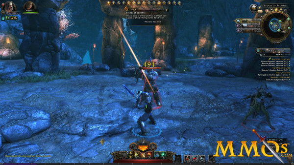 Neverwinter 491