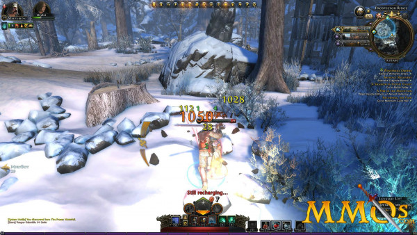 Neverwinter Gameplay 24