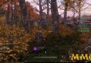 New-World-woods