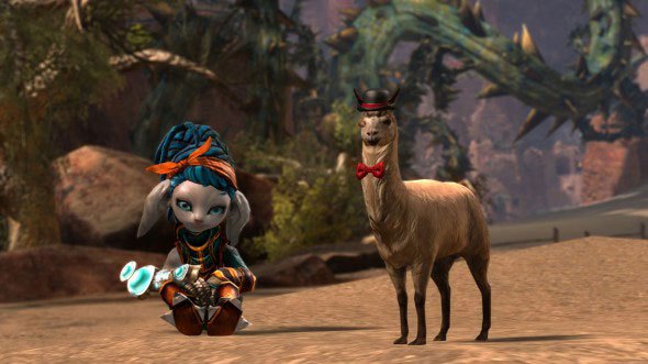 gw2-game-llama.jpg