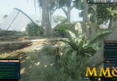 next-island-jungle