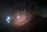 OsirisNewDawn_NocturnalCreatures_3rdPerson