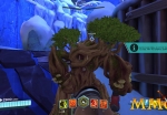 paladins-riding