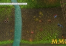 Pirate101-combat