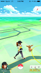 pokemon-go-eevee