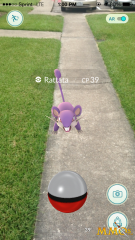 pokemon go sidewalk