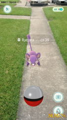 pokemon-go-sidewalk