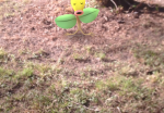 pokemon-go-bellsprout