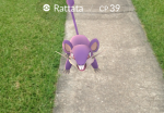 pokemon-go-sidewalk