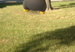 pokemon-go-drowzee