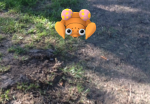 pokemon-go-paras