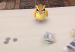 pokemon-go-pidgey-ar