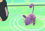 pokemon-go-ratat
