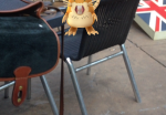 pokemon-go-raticate-pokeball