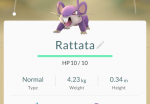 pokemon-go-rattata-screen