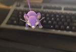 pokemon-go-rattata