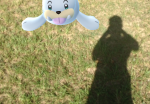 pokemon-go-seel-catch