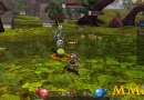 Ragnarok-Online-2-Fighting-f2p.jpg