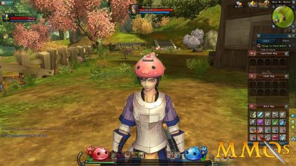 Ragnarok Online 2 Poring hat