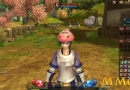 Ragnarok-Online-2-Poring-hat.jpg