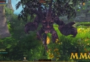 RaiderZ-Square-off-Tree