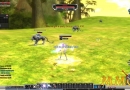 RF-Online-Wolves