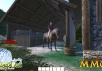 riding-out-horse