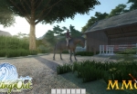 riding-out-stables