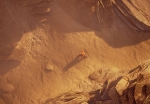 rokh (1)
