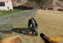 Romeros-Aftermath-mmo