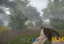 Rust-shotgun