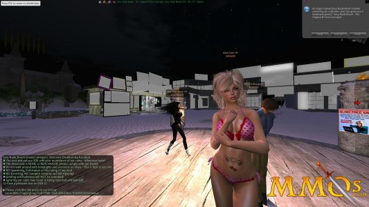 Second Life Hottie