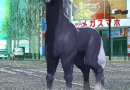 shin-megami-tensei-liberation-dx2-flustered