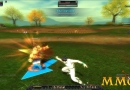 Silkroad-Online-R-Combat
