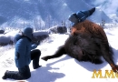 thehunter-bison